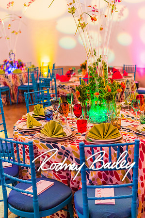 4-25-14 CORCORAN BALL DECOR_Rodney Bailey Photography_EventPhotojournalism_0437
