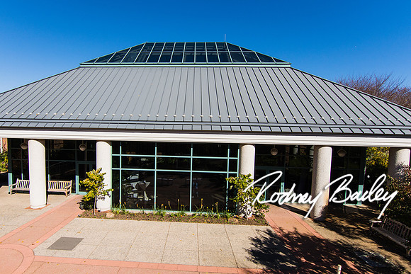 0002_10-26-14_The Atrium at Meadowlark Gardens Wedding_ Open House_Rodney Bailey Photography
