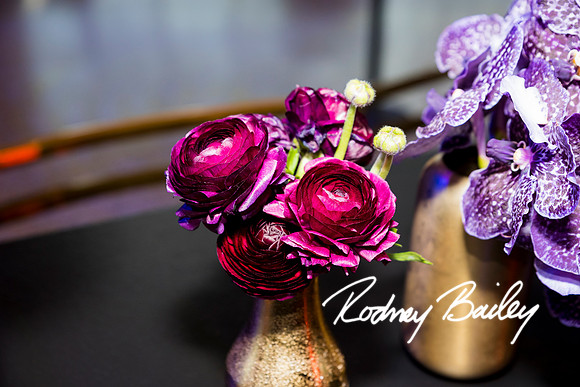 0051__8-2-25_Damien-Dwin-Celebration-National-Museum-of-African-American-Museum-Washington-DC-event-Rodney-Bailey-Photography