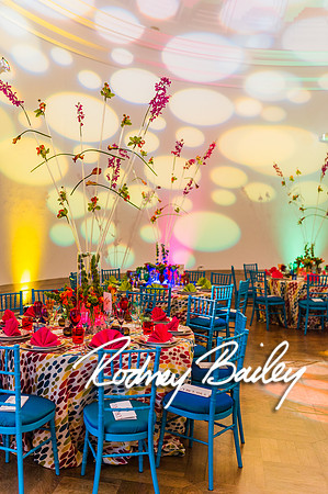 4-25-14 CORCORAN BALL DECOR_Rodney Bailey Photography_EventPhotojournalism_0446