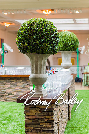 4-25-14 CORCORAN BALL DECOR_Rodney Bailey Photography_EventPhotojournalism_0103
