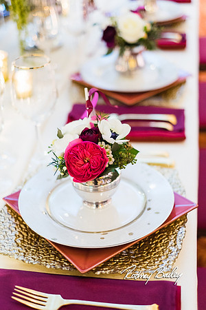 0390__3-1-15_Capital Bridal Affair and Fashion Show_The Mayflower Renaissance_Washington DC_Wedding Photography by Rodney Bailey