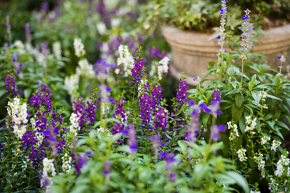 0004__Well-Dunn-Catering-Decatur-House-Washington-DC-Rodney-Bailey-Photography