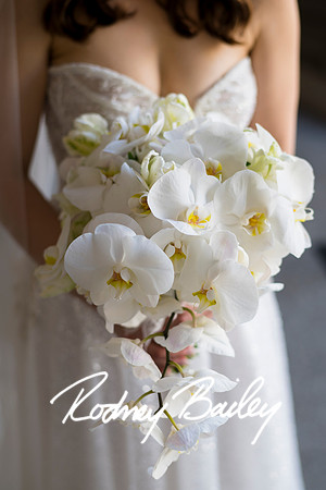 1095__6-1-24_Susan-Darvishi-Justin-Angelastro-Waldorf-Astoria-Washington-DC-Wedding-Rodney-Bailey-Photography