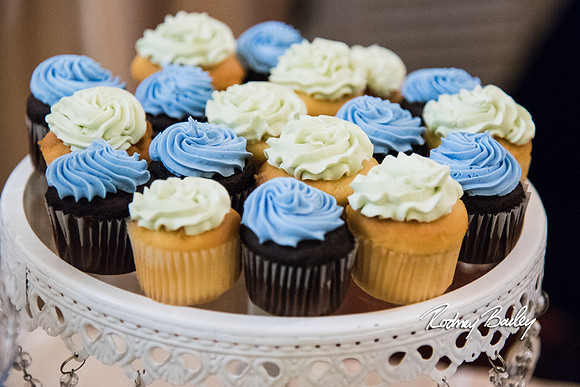 0429__3-1-15_Capital Bridal Affair and Fashion Show_The Mayflower Renaissance_Washington DC_Wedding Photography by Rodney Bailey