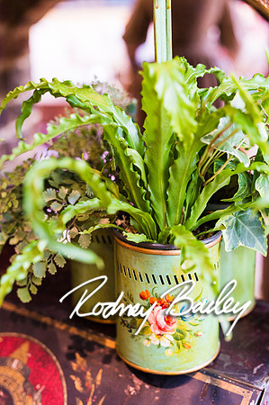 0241__10-28-14 _Bergerons Flowers_Rodney Bailey Photography