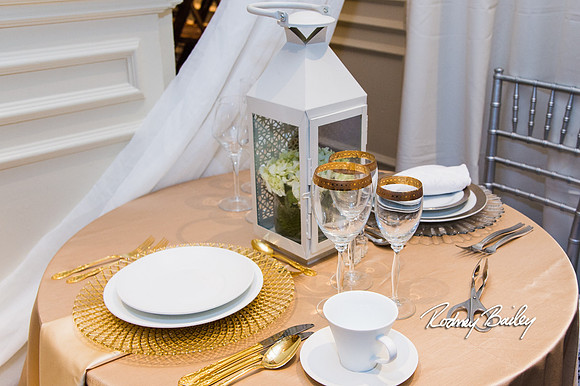 0315__3-1-15_Capital Bridal Affair and Fashion Show_The Mayflower Renaissance_Washington DC_Wedding Photography by Rodney Bailey