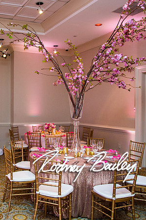 5-10-14_Mitzvah-Decor_Rodney Bailey_0024