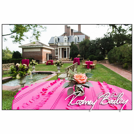 Woodlawn-Estate-wedding-VA-Virginia-Photographers__0004