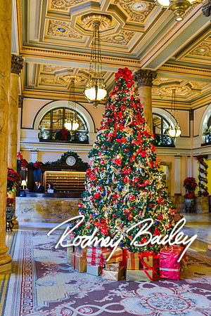 willard hotel-washington dc-rodney bailey
