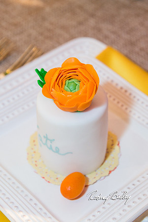 0350__3-1-15_Capital Bridal Affair and Fashion Show_The Mayflower Renaissance_Washington DC_Wedding Photography by Rodney Bailey