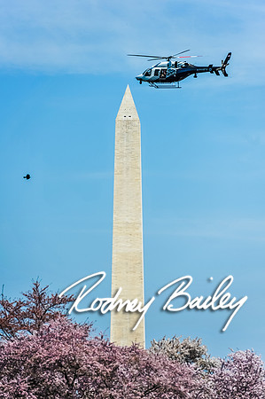 4-13-14 Kat-Craig Todd-Zofia-Alek JOC-Family Session-DC-RB_855