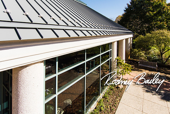 0008_10-26-14_The Atrium at Meadowlark Gardens Wedding_ Open House_Rodney Bailey Photography