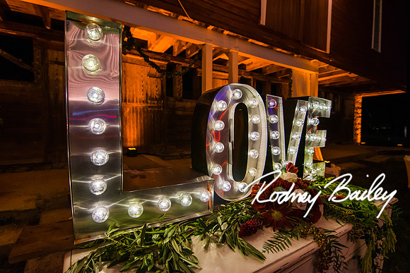 0190_9-12-14 Rockland Esates_Maryland Wedding Veue_Rodney Bailey Photography