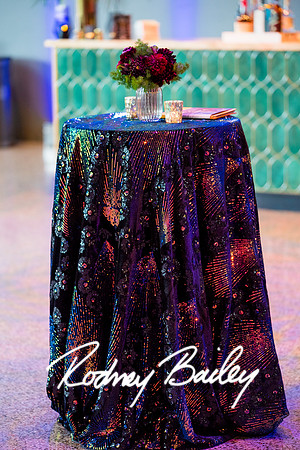 0120__8-2-25_Damien-Dwin-Celebration-National-Museum-of-African-American-Museum-Washington-DC-event-Rodney-Bailey-Photography