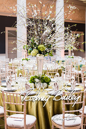 4-25-14 CORCORAN BALL DECOR_Rodney Bailey Photography_EventPhotojournalism_0003