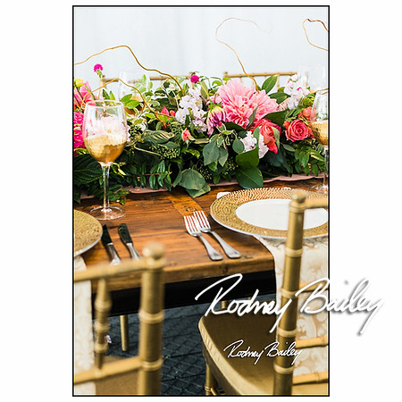 Woodlawn-Estate-wedding-VA-Virginia-Photographers__0011