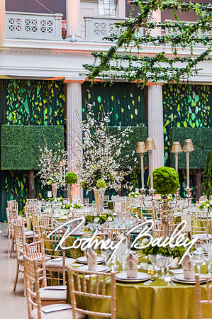4-25-14 CORCORAN BALL DECOR_Rodney Bailey Photography_EventPhotojournalism_0231