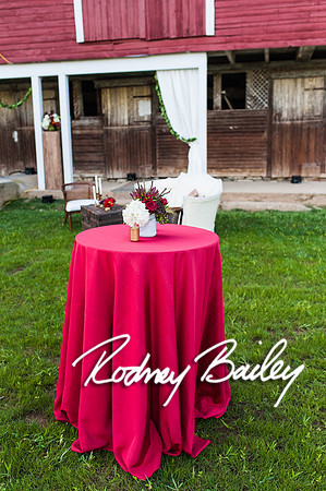 0033_9-12-14 Rockland Esates_Maryland Wedding Veue_Rodney Bailey Photography