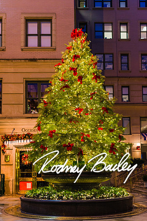 willard hotel-washington dc-rodney bailey