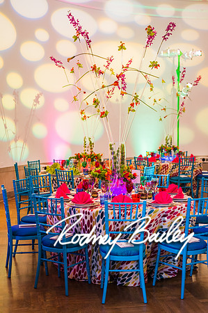 4-25-14 CORCORAN BALL DECOR_Rodney Bailey Photography_EventPhotojournalism_0486