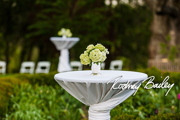 Oatlands Historic House and Gardens Weddings_wedding photography Oatlands Historic House and Gardens Virginia_Oatlands Historic House and Gardens Leesburg Virginia Wedding Photographer