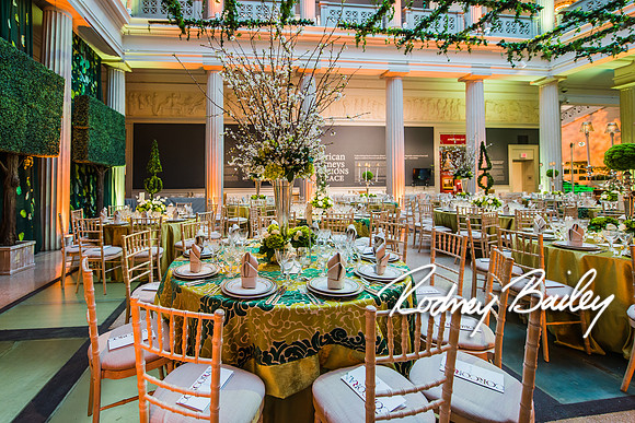4-25-14 CORCORAN BALL DECOR_Rodney Bailey Photography_EventPhotojournalism_0721