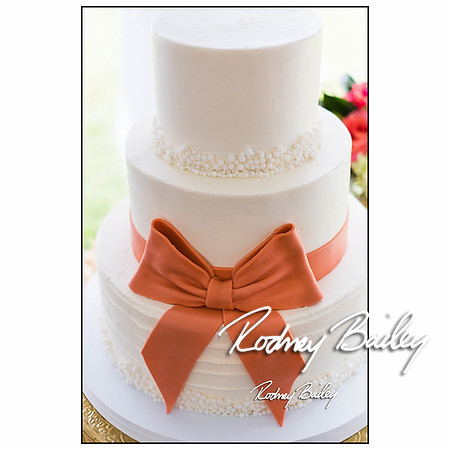 Woodlawn-Estate-wedding-VA-Virginia-Photographers__0012
