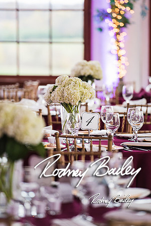 Raspberry-Plain-Leesburg-VA-wedding-Rodney-Bailey-Wedding-Photography