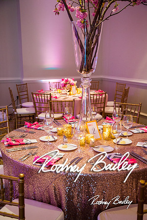 5-10-14_Mitzvah-Decor_Rodney Bailey_0152