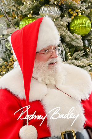 0440__12-11-22_Tishman-Speyer-Holiday-Brunch-Hay-Adams-Hotel-DC-Washington-DC-EventPhotojournalism-event-photographers