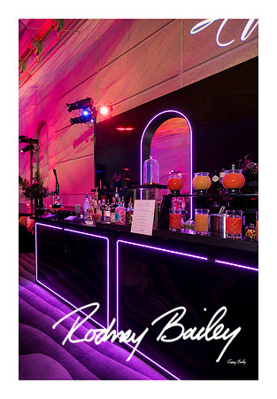 1030_1-11-25_Paul-50th-Birthday-Celebration-Renwick-Gallery-Washington-DC-Rodney-Bailey-Photography