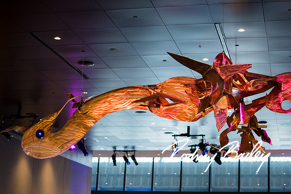 0125__8-2-25_Damien-Dwin-Celebration-National-Museum-of-African-American-Museum-Washington-DC-event-Rodney-Bailey-Photography