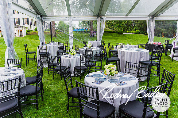 0004__0009__5-16-15 National Brain Tumor Society_Grey Soiree_Event Photojournalism_Virginia Event Photography
