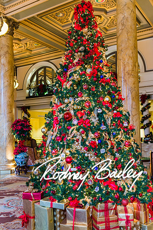 willard hotel-washington dc-rodney bailey