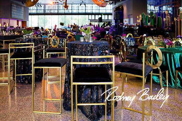 0058__8-2-25_Damien-Dwin-Celebration-National-Museum-of-African-American-Museum-Washington-DC-event-Rodney-Bailey-Photography