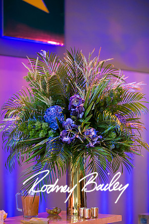 0034__8-2-25_Damien-Dwin-Celebration-National-Museum-of-African-American-Museum-Washington-DC-event-Rodney-Bailey-Photography