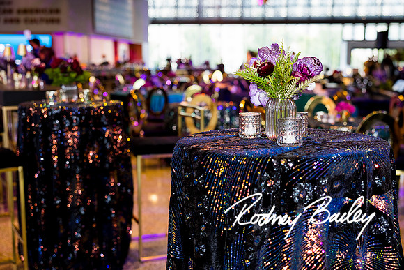 0052__8-2-25_Damien-Dwin-Celebration-National-Museum-of-African-American-Museum-Washington-DC-event-Rodney-Bailey-Photography
