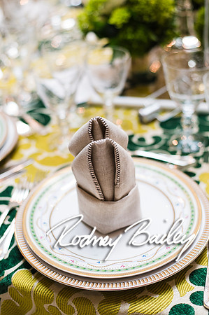 4-25-14 CORCORAN BALL DECOR_Rodney Bailey Photography_EventPhotojournalism_0001