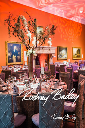 4-25-14 CORCORAN BALL DECOR_Rodney Bailey Photography_EventPhotojournalism_0158