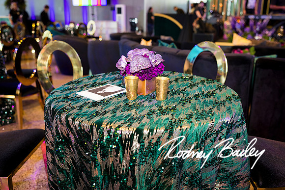 0013__8-2-25_Damien-Dwin-Celebration-National-Museum-of-African-American-Museum-Washington-DC-event-Rodney-Bailey-Photography