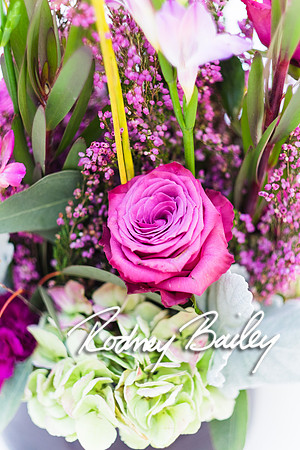 0060_10-26-14_The Atrium at Meadowlark Gardens Wedding_ Open House_Rodney Bailey Photography