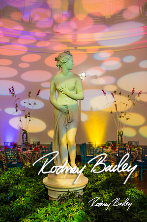 4-25-14 CORCORAN BALL DECOR_Rodney Bailey Photography_EventPhotojournalism_0046