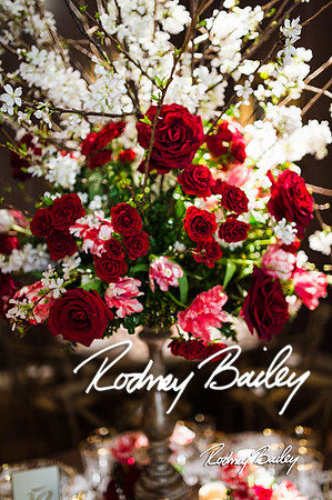 4-25-14 CORCORAN BALL DECOR_Rodney Bailey Photography_EventPhotojournalism_0181