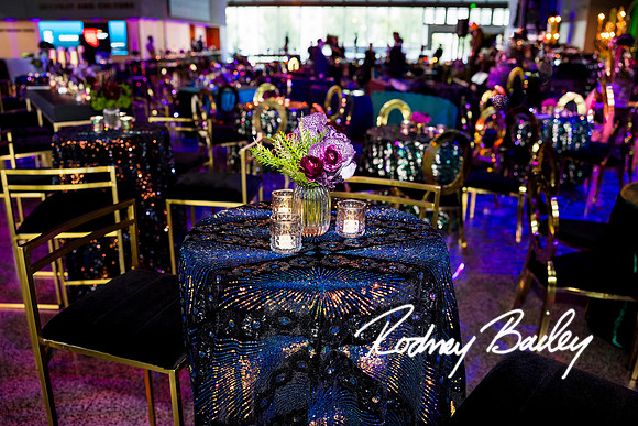 0144__8-2-25_Damien-Dwin-Celebration-National-Museum-of-African-American-Museum-Washington-DC-event-Rodney-Bailey-Photography