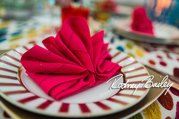 4-25-14 CORCORAN BALL DECOR_Rodney Bailey Photography_EventPhotojournalism_0054