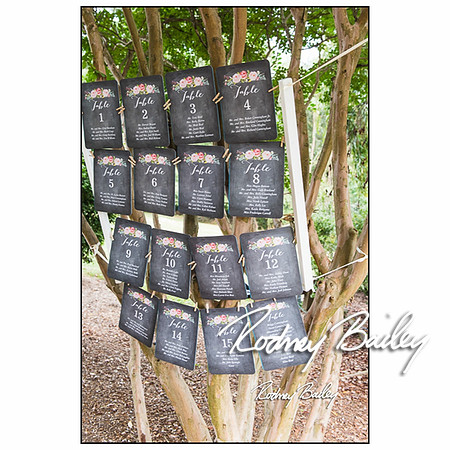 Woodlawn-Estate-wedding-VA-Virginia-Photographers__0006