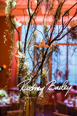 4-25-14 CORCORAN BALL DECOR_Rodney Bailey Photography_EventPhotojournalism_0426