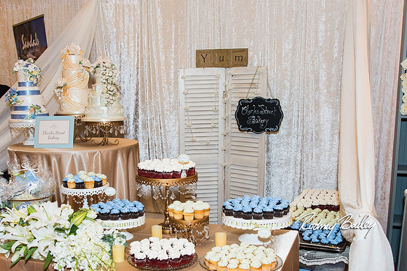 0387__3-1-15_Capital Bridal Affair and Fashion Show_The Mayflower Renaissance_Washington DC_Wedding Photography by Rodney Bailey
