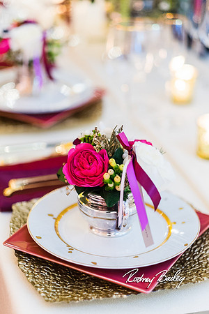 0352__3-1-15_Capital Bridal Affair and Fashion Show_The Mayflower Renaissance_Washington DC_Wedding Photography by Rodney Bailey